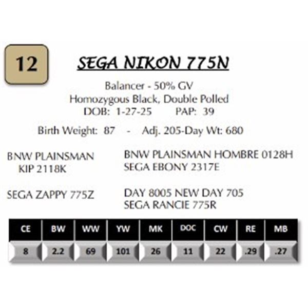 SEGA NIKON 775N