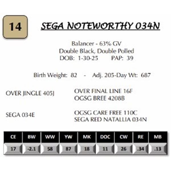 SEGA NOTEWORTHY 034N