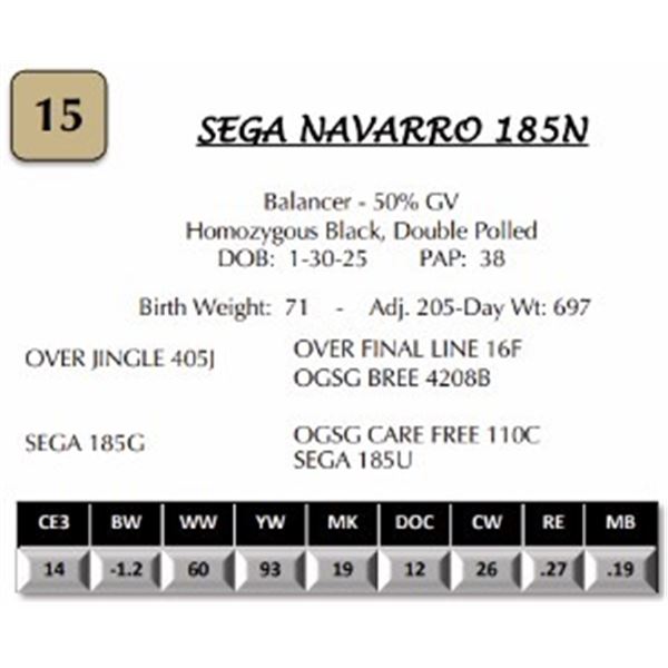 SEGA NAVARRO 185N