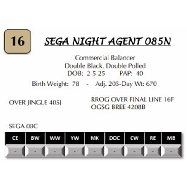 SEGA NIGHT AGENT 085N