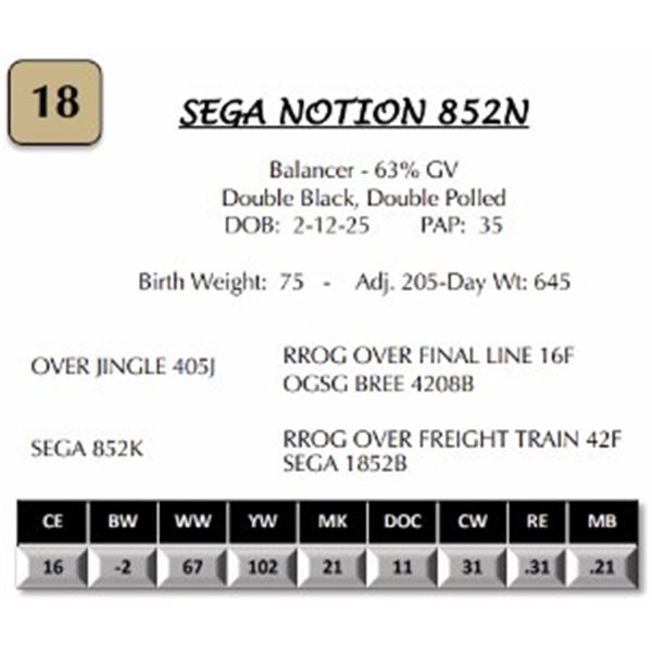 SEGA NOTION 852N