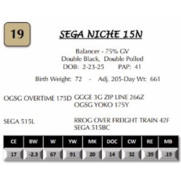 SEGA NICHE 15N