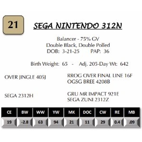 SEGA NINTENDO 312N