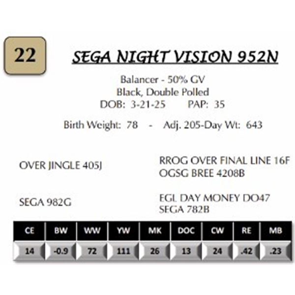 SEGA NIGHT VISION 952N