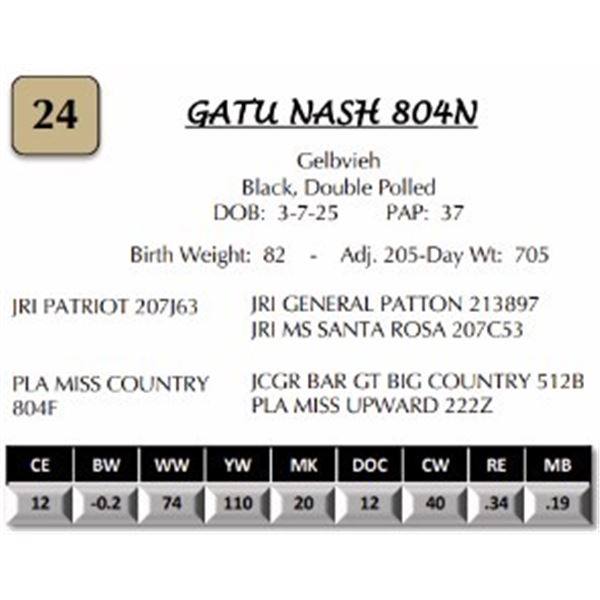GATU NASH 804N