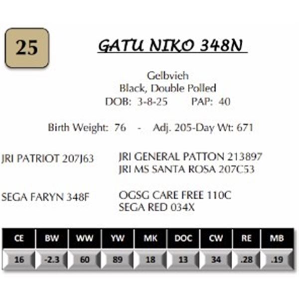 GATU NIKO 348N
