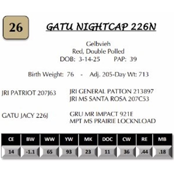 GATU NIGHTCAP 226N