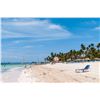 Image 5 : Punta Cana - All Inclusive Vacation