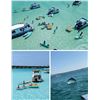 Image 1 : Destin Pontoon Charters Season Pass