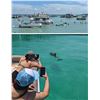 Image 2 : Destin Pontoon Charters Season Pass