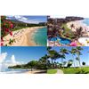 Image 2 : Hawaiian Adventure
