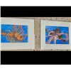 Image 1 : “Depth & Drama” Set of 2 by Toni Dineen