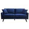 Image 1 : BNIB - Bellerophon Sofa - 69 x 30.5 x 33 - Retail Price: $899.00 - VE-9044VBU-3