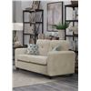 Image 2 : BNIB - Valette Collection Loveseat with 2 Pillows, Beige - 56 x 34.25 x 36 - VF-99097BE-2