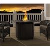 Image 1 : BNIB Paramount Oval Cast Aluminum Convertible Fire Pit, RV: $650 CAD (FP-271)