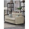 Image 2 : BNIB - Valette Collection Loveseat with 2 Pillows, Beige - 56 x 34.25 x 36 - VF-99097BE-2