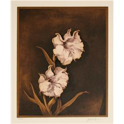 Miguel Herrera, Untitled (Dragons Flower), Aquatint Etching