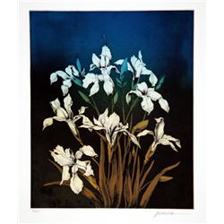 Miguel Herrera, Untitled - White Irises, Aquatint Etching