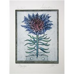 Tighe O'Donoghue, Arboretum - Ramage, Aquatint Etching