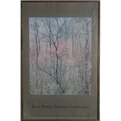 Eliot Porter, Intimate Landscapes, Poster