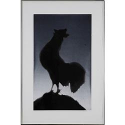 Ed Ruscha, Rooster, Aquatint Etching 