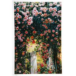 Greg Singley, Cascading Roses, Serigraph