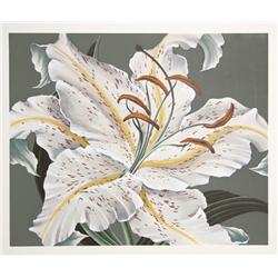 John Zak, White Lily, Lithograph