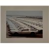 Image 1 : Back to the Future DeLorean Art Photo