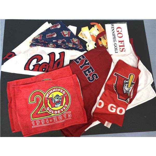 Winnipeg Goldeyes Minor Baseball Merch Lot