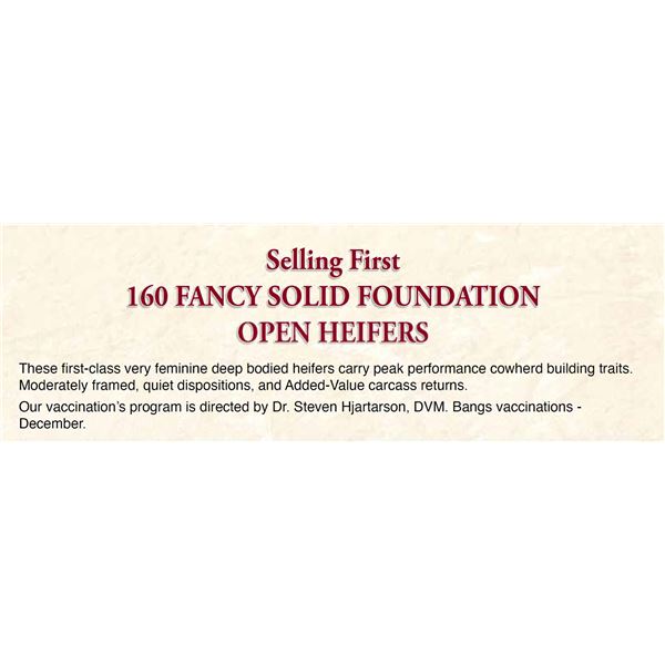 160 Open Heifers