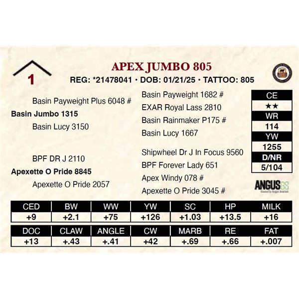 Apex Jumbo 805