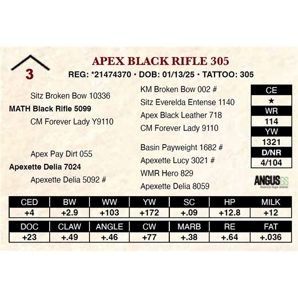 Apex Black Rifle 305