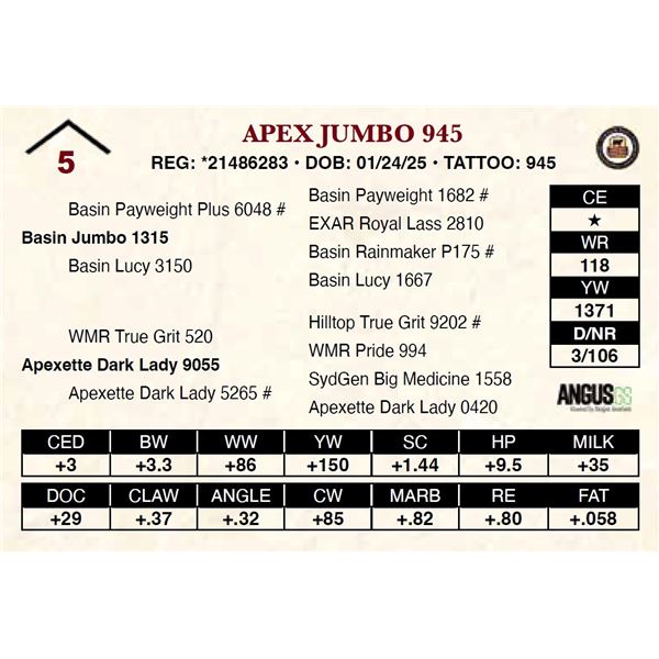 Apex Jumbo 945