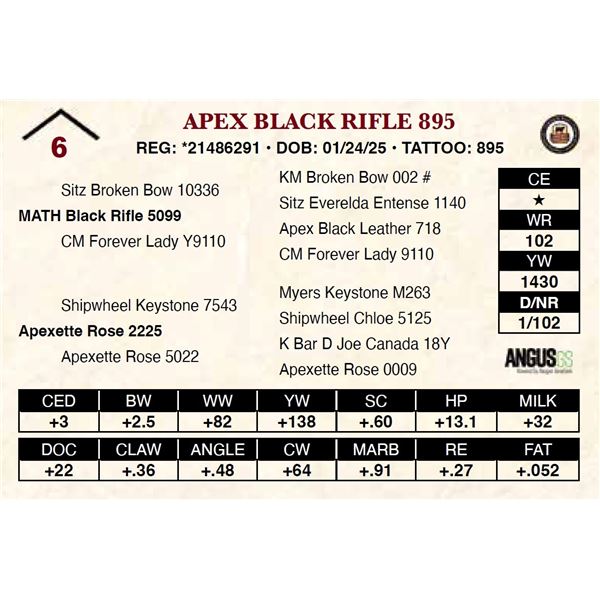 Apex Black Rifle 895