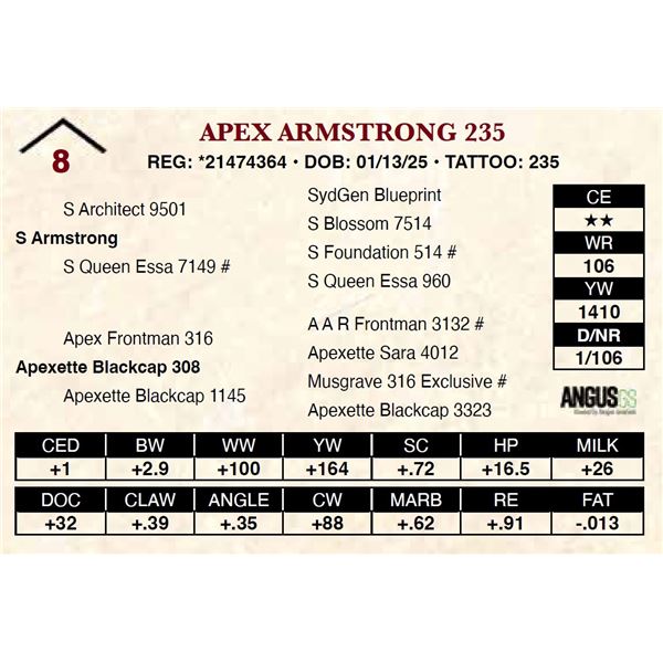 Apex Armstrong 235