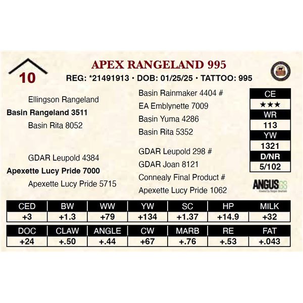 Apex Rangeland 995