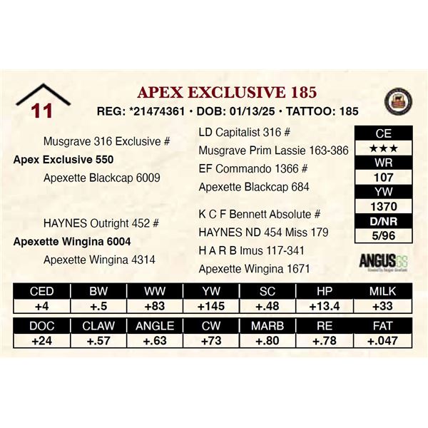 Apex Exclusive 185