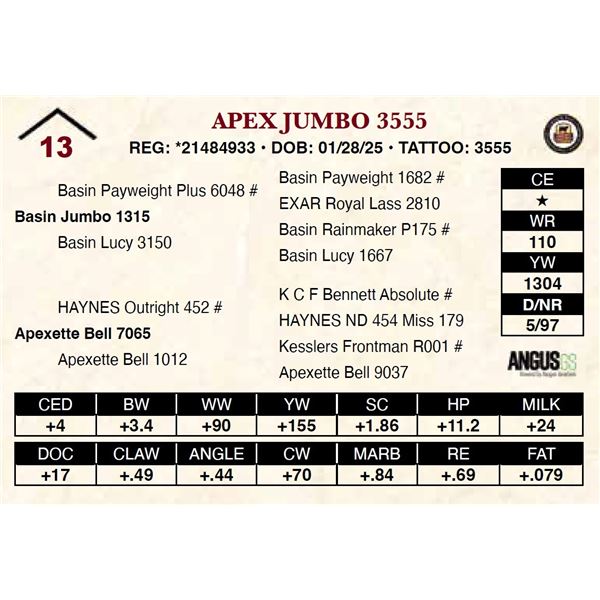 Apex Jumbo 3555