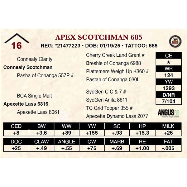 Apex Scotchman 685