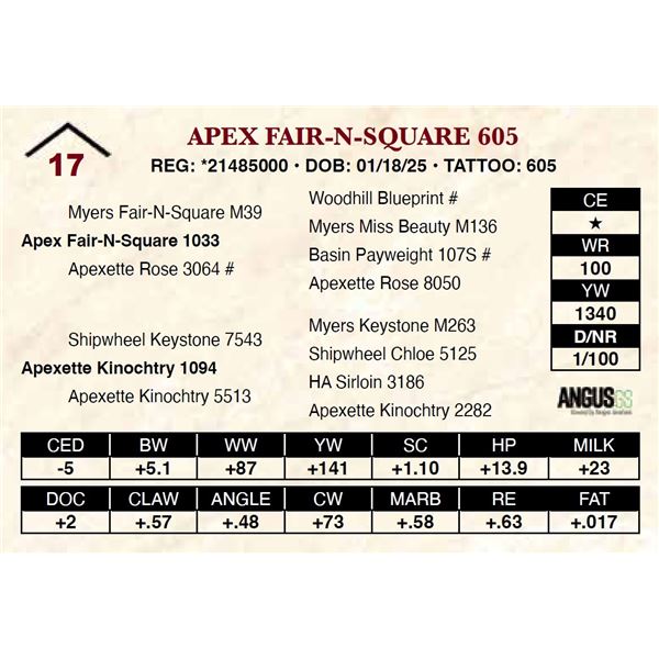 Apex Fair-N-Square 605