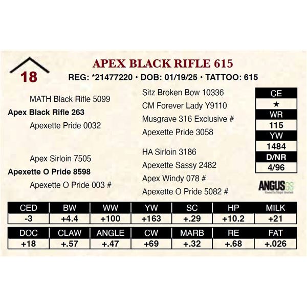 Apex Black Rifle 615