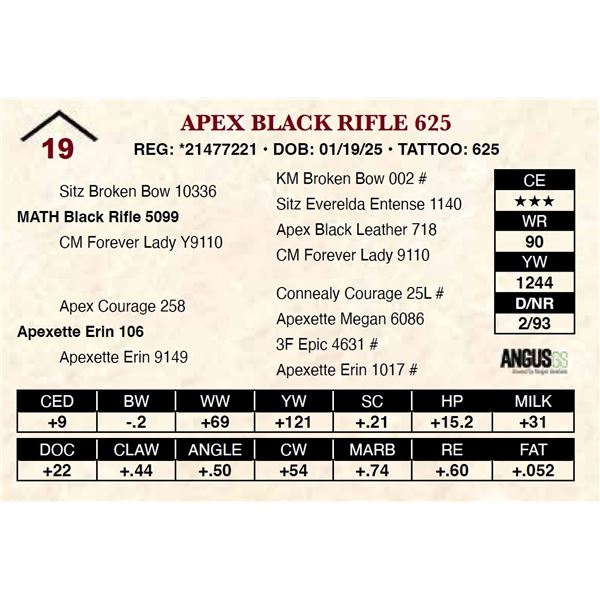 Apex Black Rifle 625