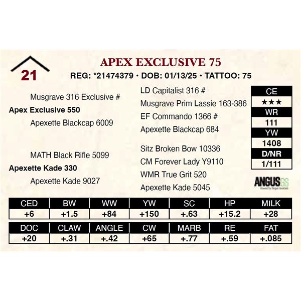 Apex Exclusive 75