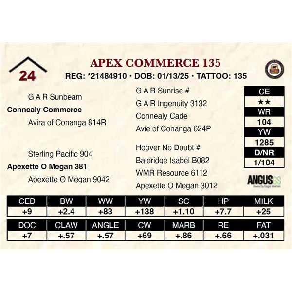 Apex Commerce 135