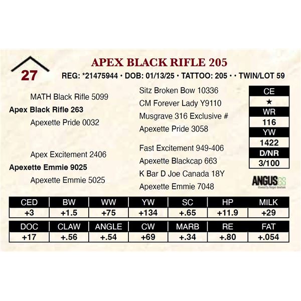 Apex Black Rifle 205