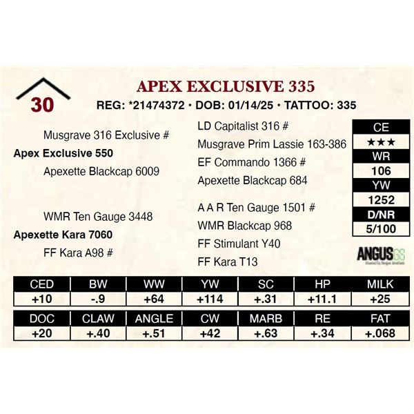Apex Exclusive 335
