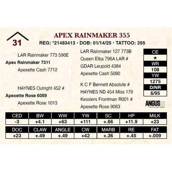Apex Rainmaker 355