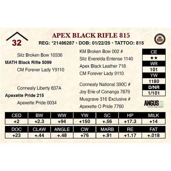 Apex Black Rifle 815