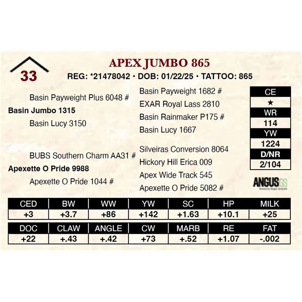 Apex Jumbo 865
