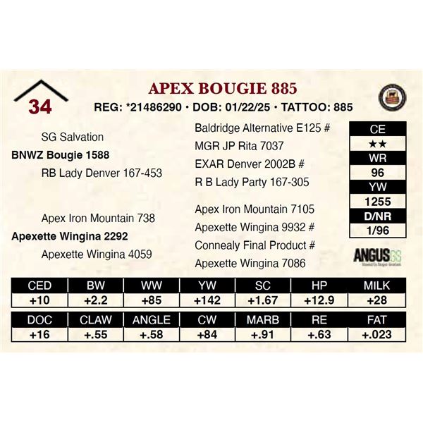 Apex Bougie 885